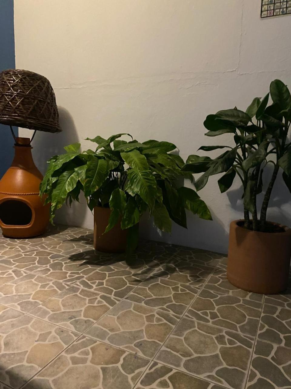 Hotel Casa Juanita بويرتو إسكونديدو المظهر الخارجي الصورة
